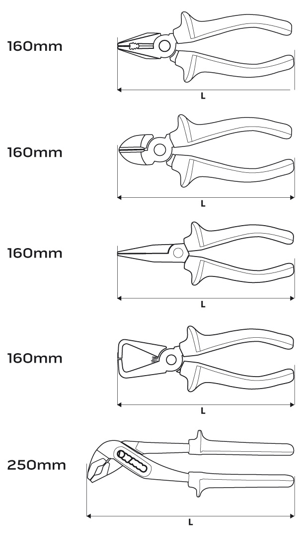 01-234__BNE_TWM