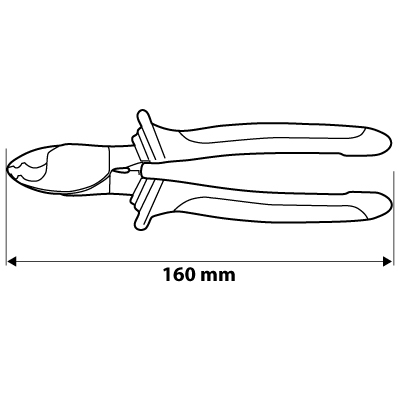 01-513__BNE_TWM