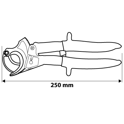 01-516__BNE_TWM